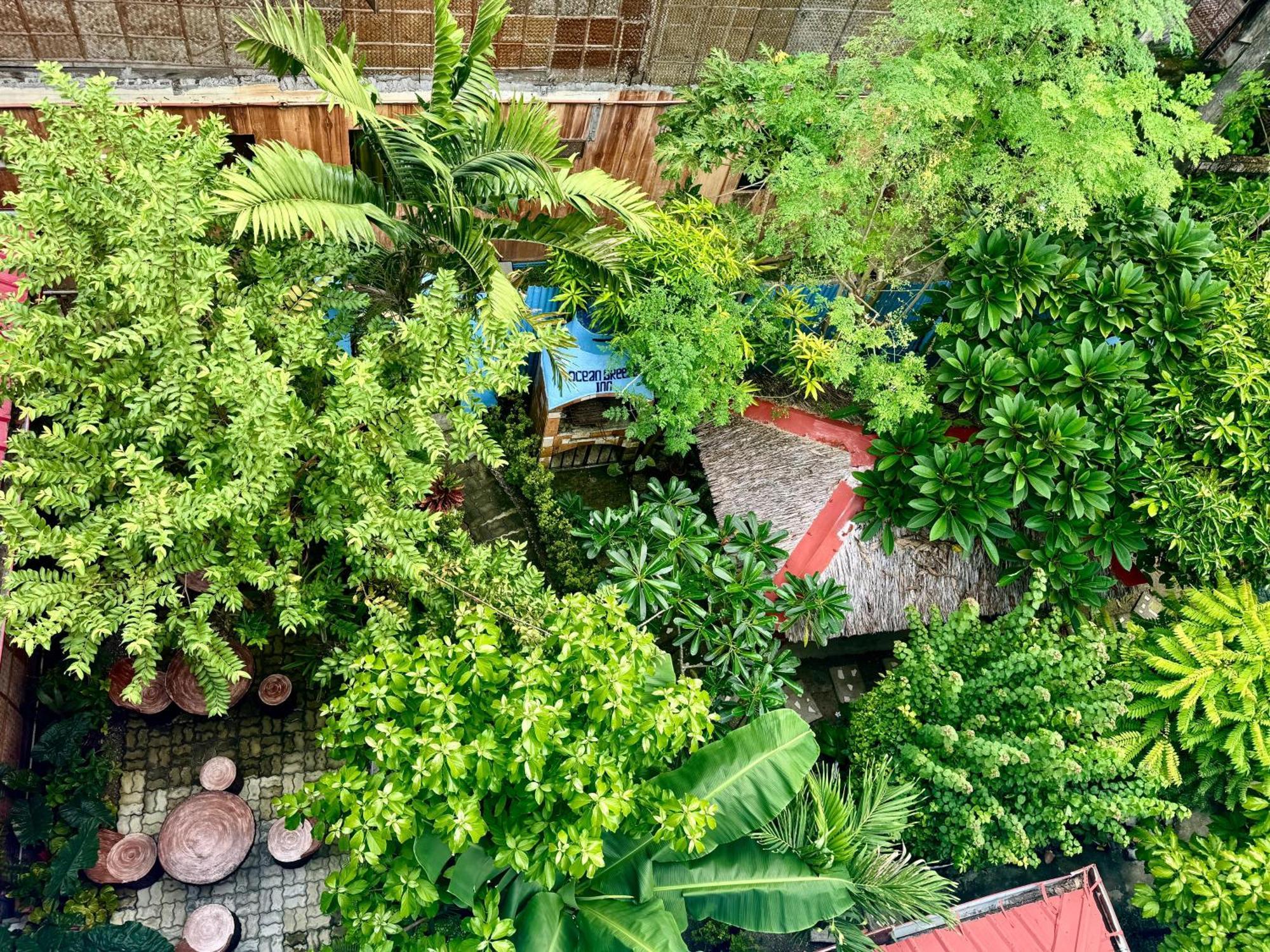 Ocean Breeze Inn Manoc-Manoc Dış mekan fotoğraf